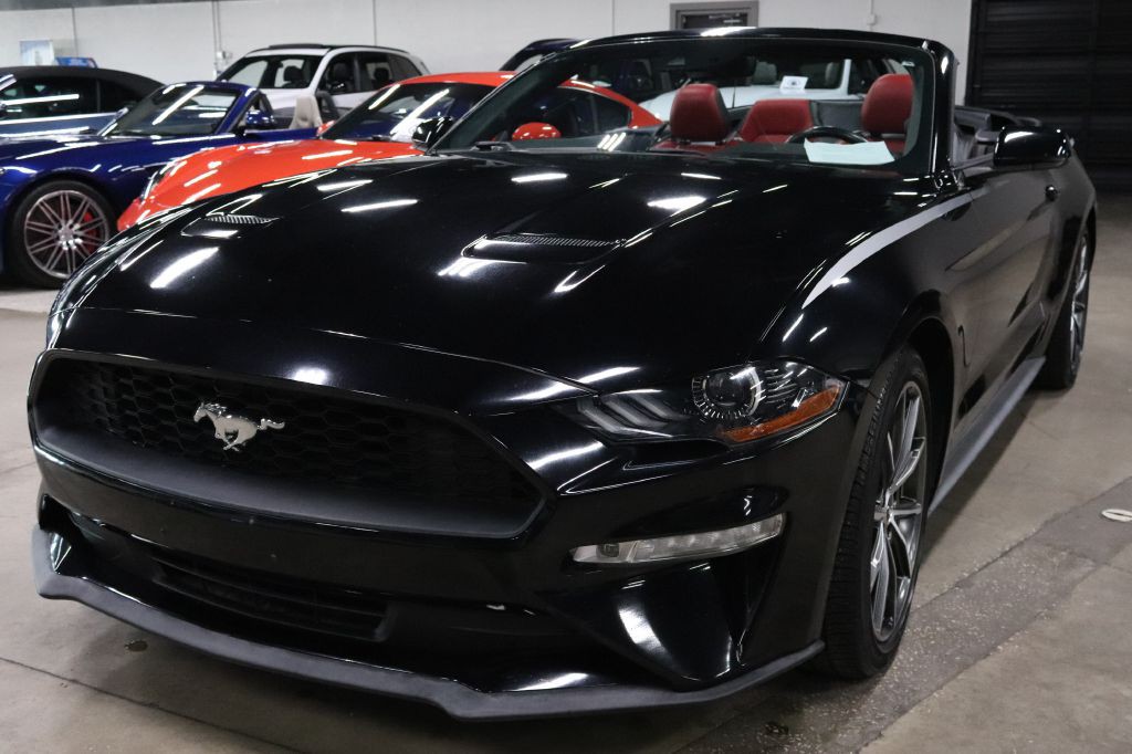 2019 Ford Mustang Image 2