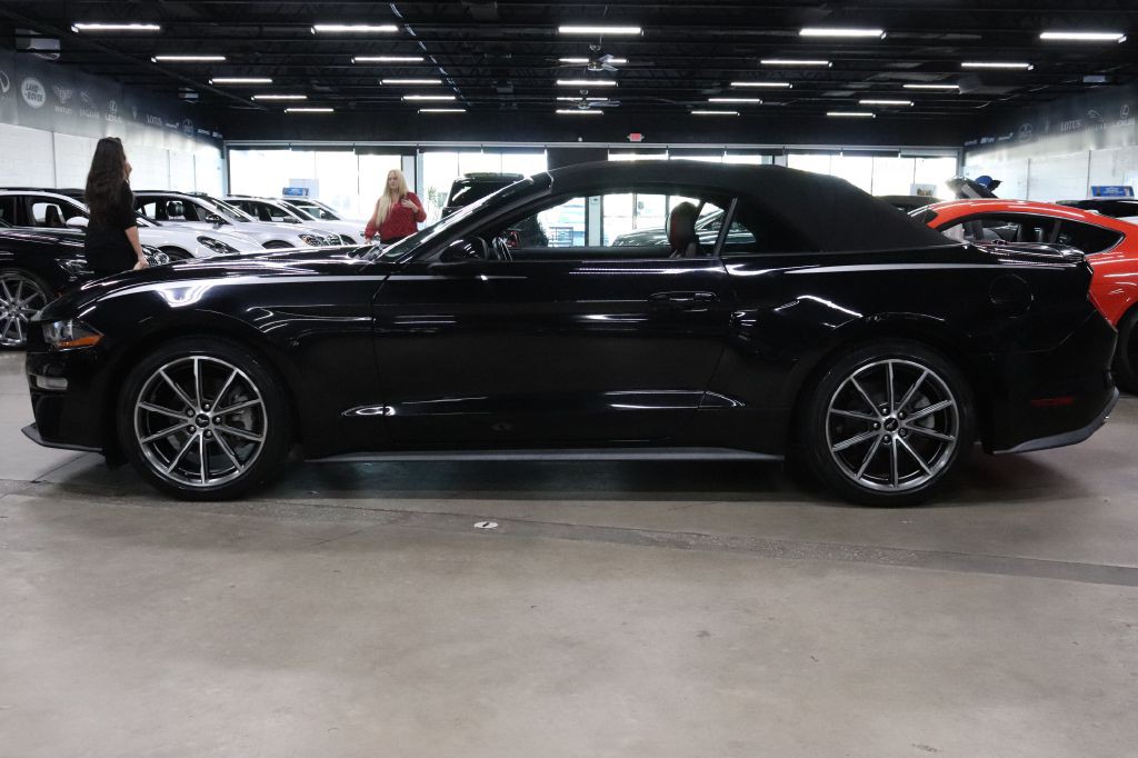 2019 Ford Mustang Image 3