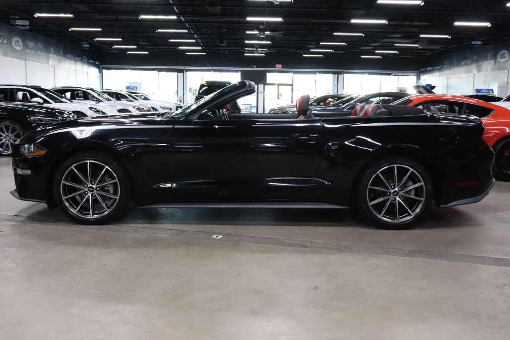 2019 Ford Mustang Image 4