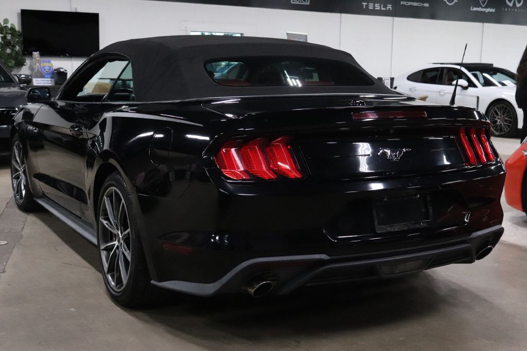 2019 Ford Mustang Image 5
