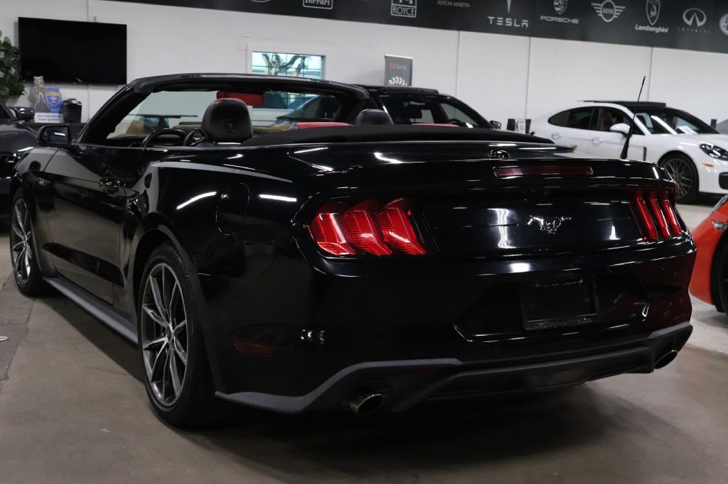 2019 Ford Mustang Image 6