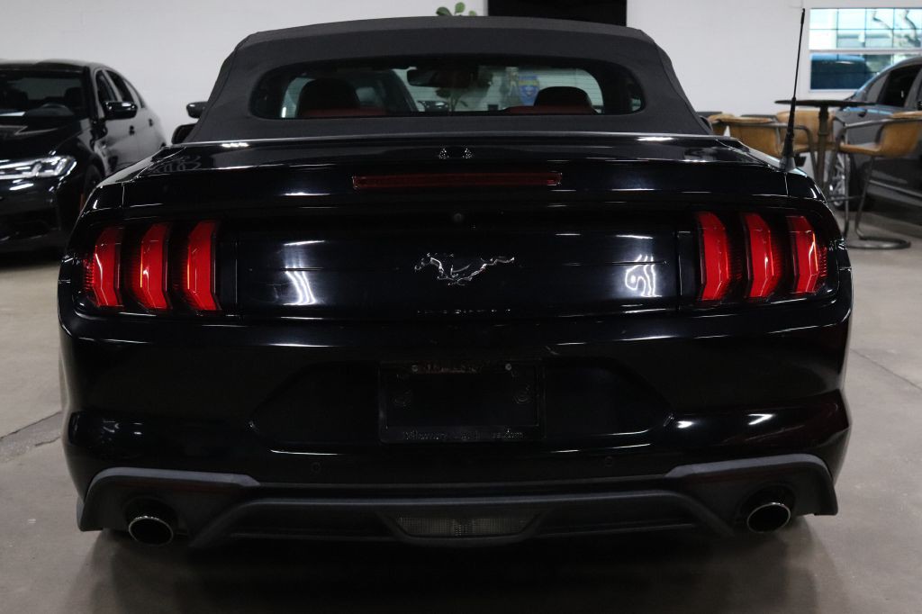 2019 Ford Mustang Image 7