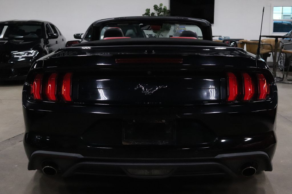 2019 Ford Mustang Image 8