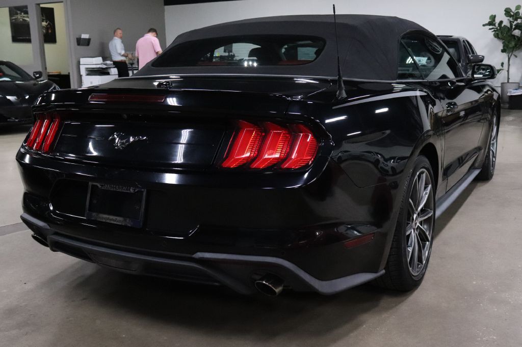 2019 Ford Mustang Image 9