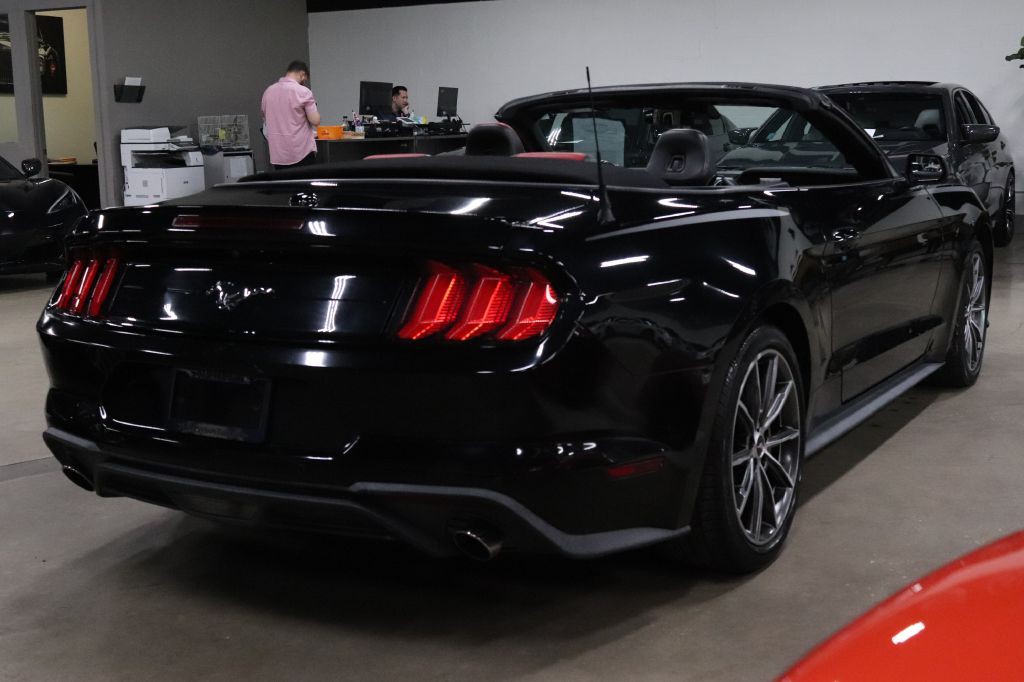 2019 Ford Mustang Image 10