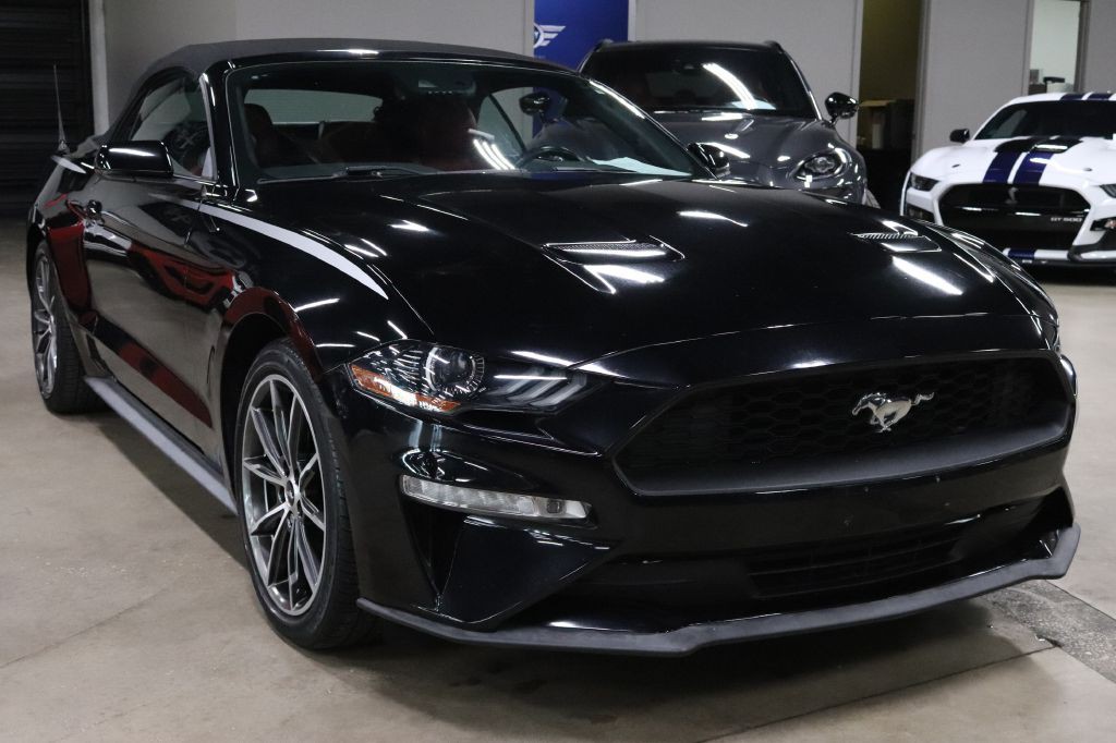 2019 Ford Mustang Image 13
