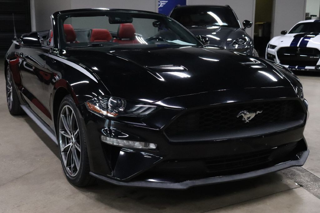 2019 Ford Mustang Image 14