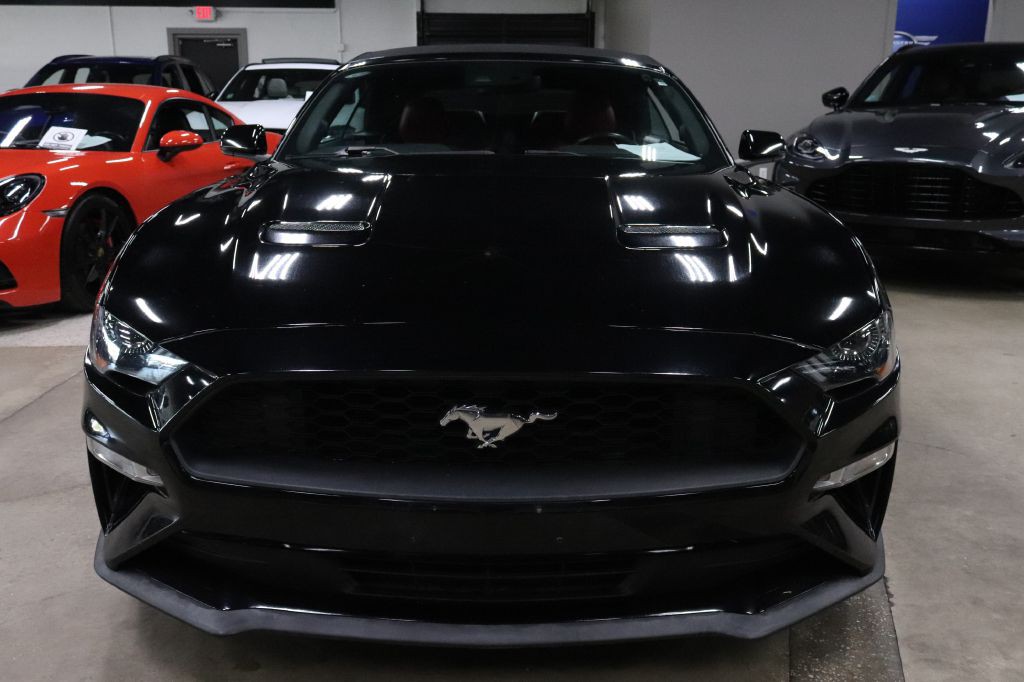 2019 Ford Mustang Image 15