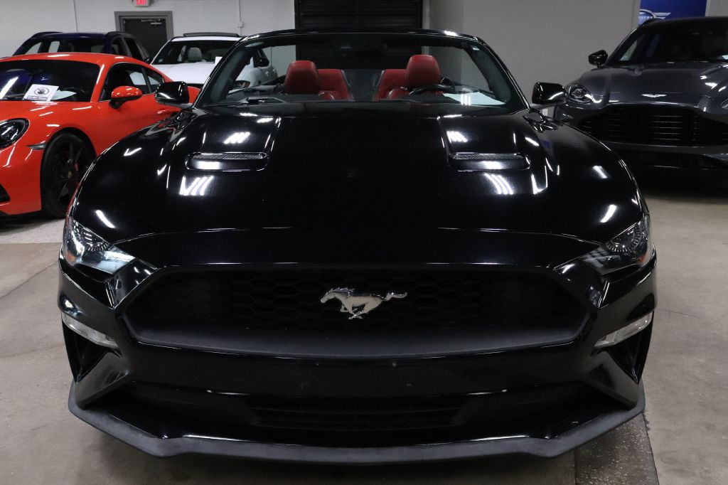 2019 Ford Mustang Image 16