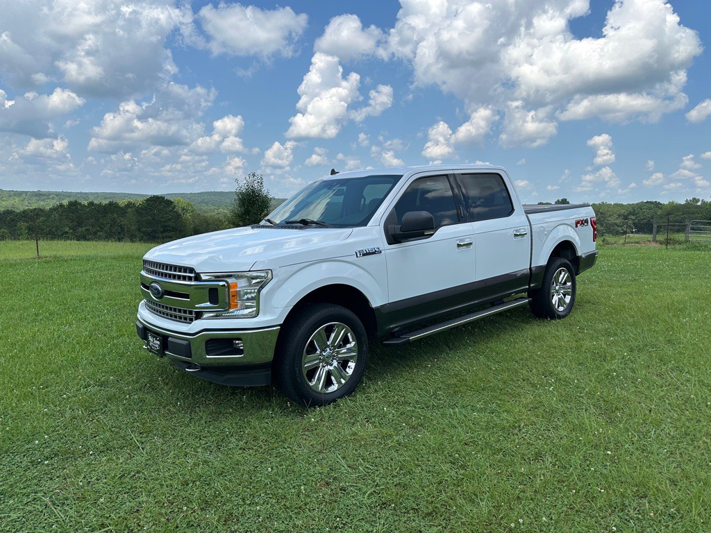 2019 Ford F-150 Image 1