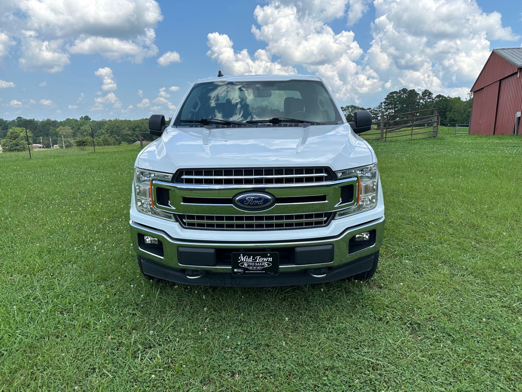 2019 Ford F-150 Image 5