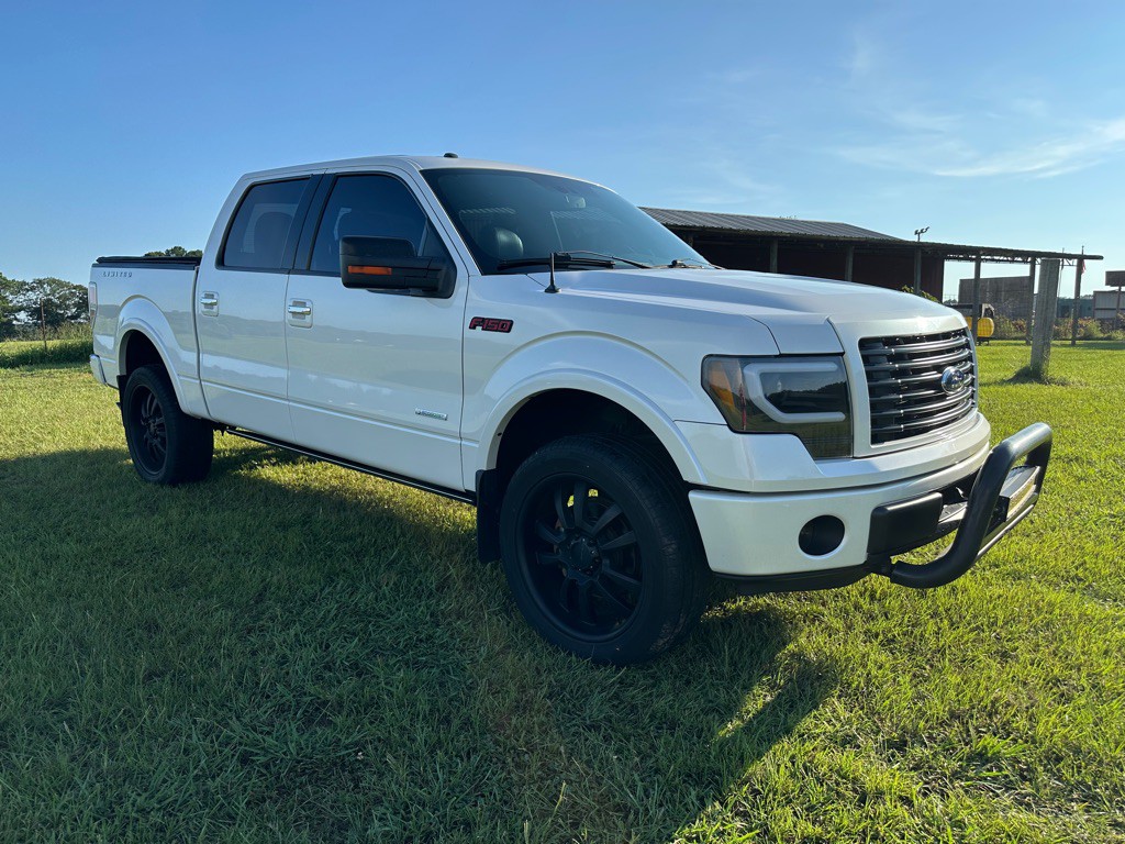 2014 Ford F-150 Image 2