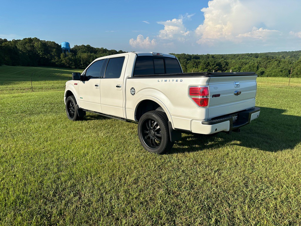 2014 Ford F-150 Image 3