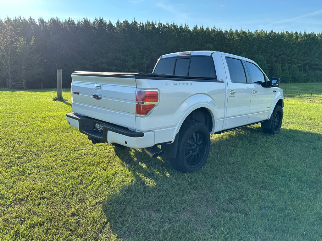 2014 Ford F-150 Image 4
