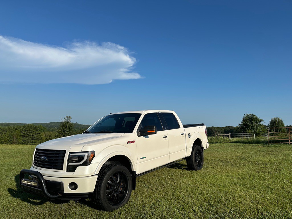 2014 Ford F-150 Image 8