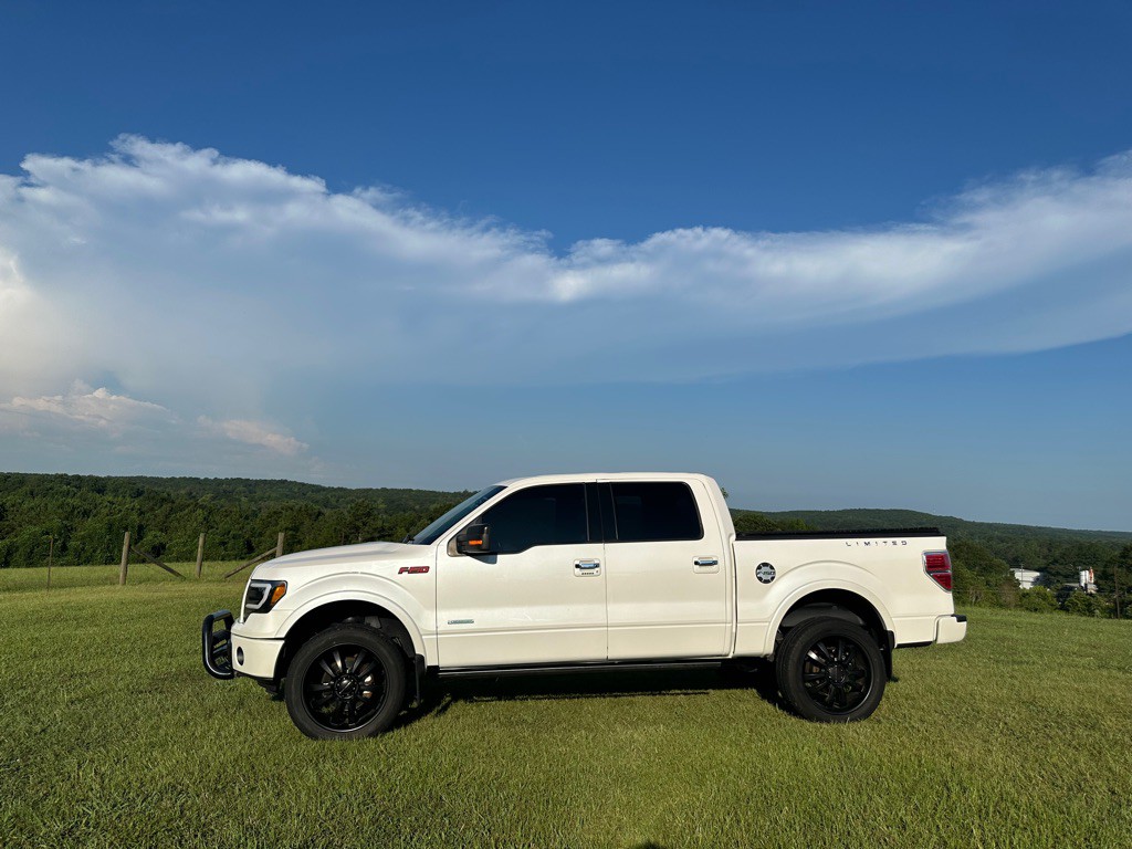 2014 Ford F-150 Image 8