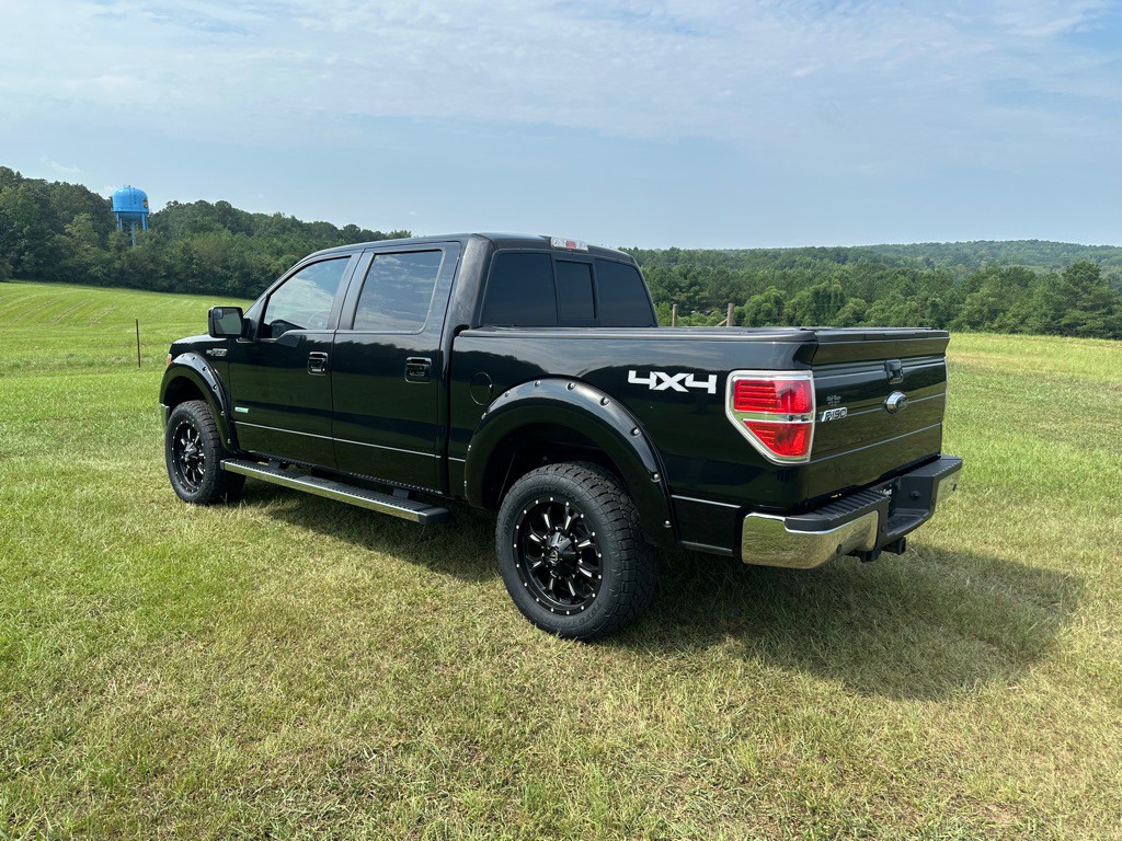 2014 Ford F-150 Image 3