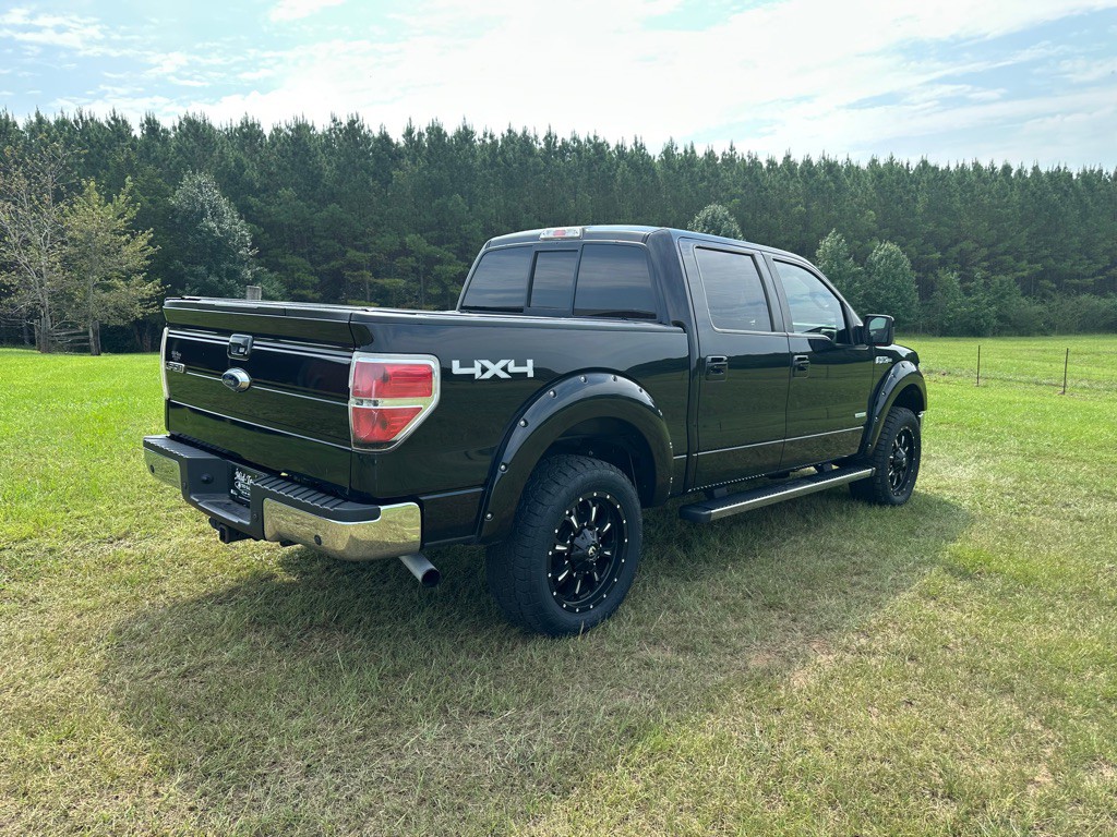 2014 Ford F-150 Image 4