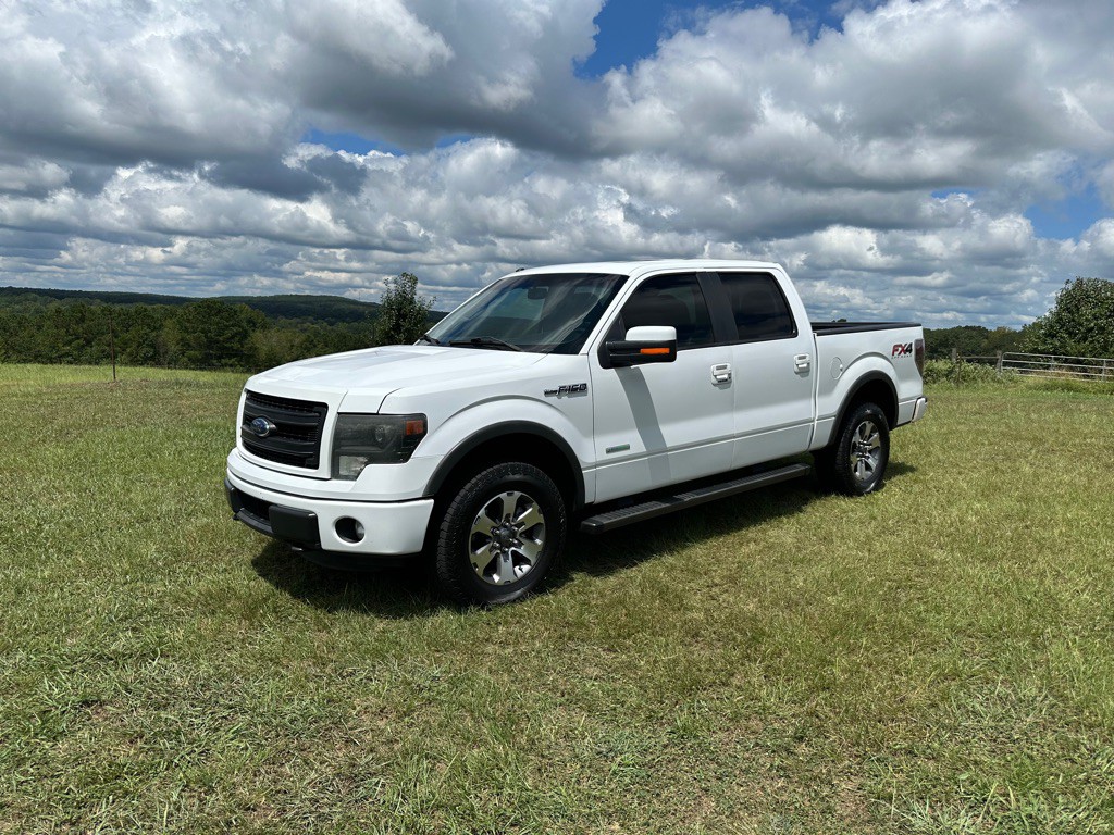 2014 Ford F-150 Image 1