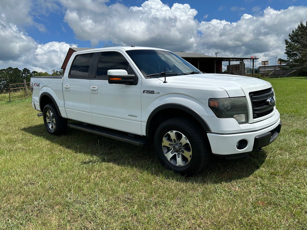 2014 Ford F-150 Image 2