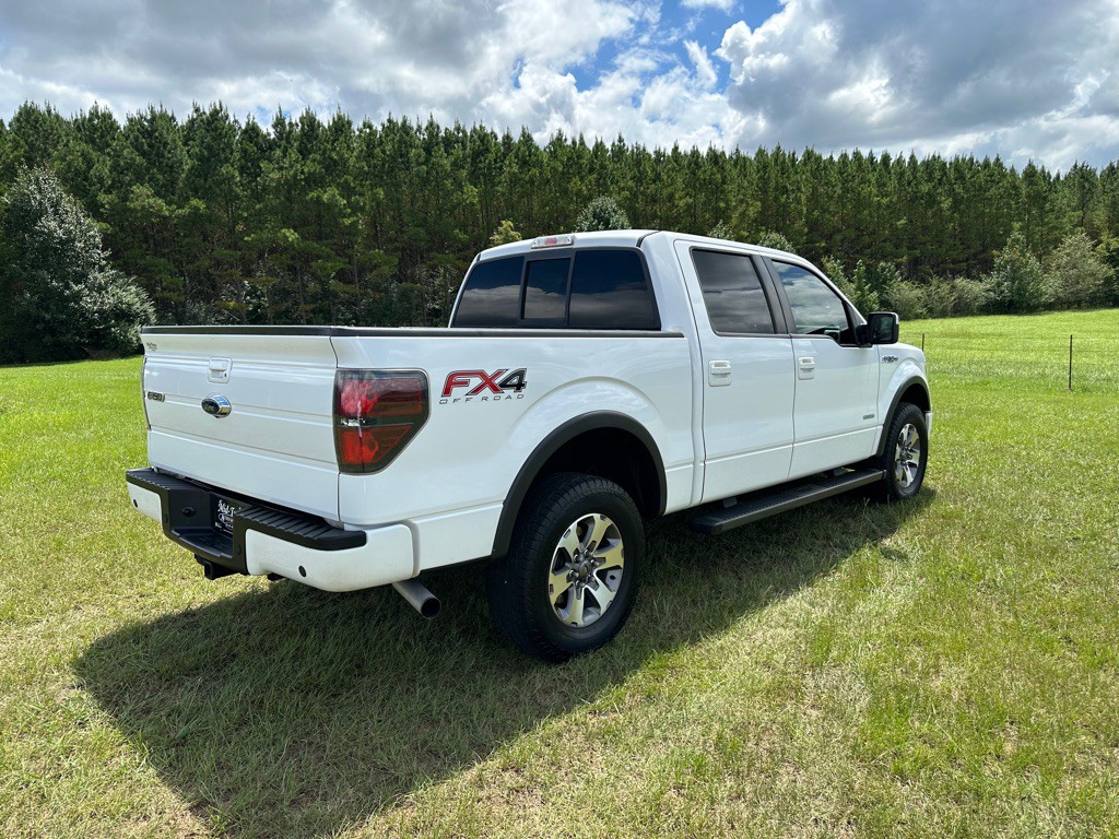 2014 Ford F-150 Image 4