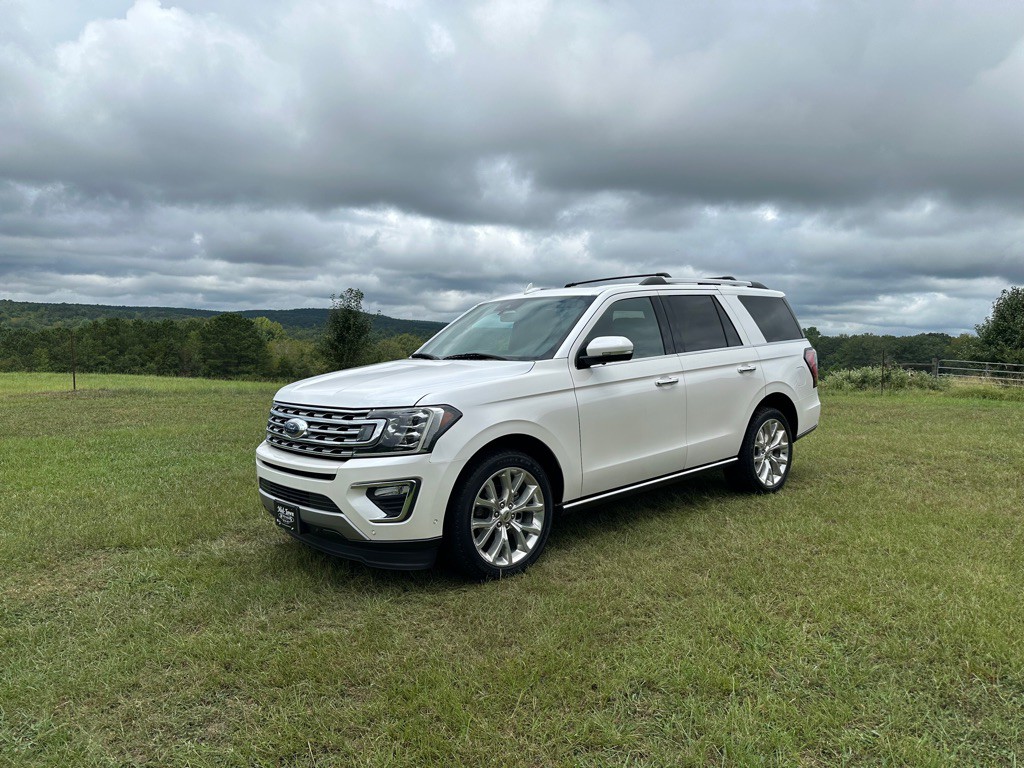2019 Ford Expedition Image 1