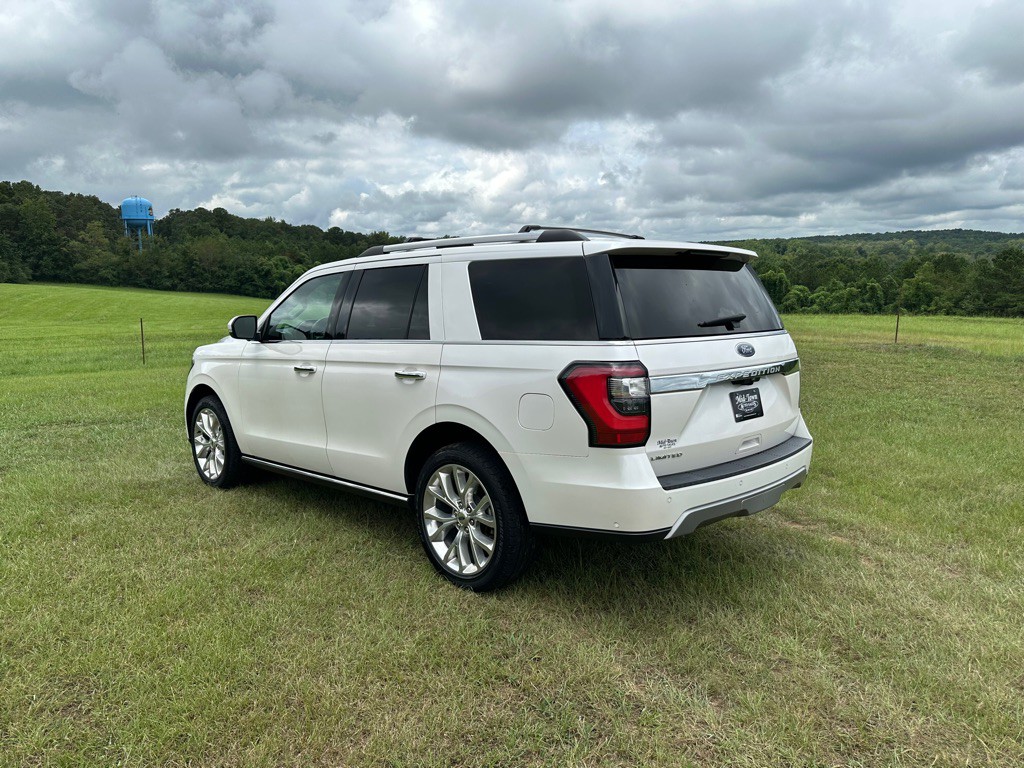 2019 Ford Expedition Image 3