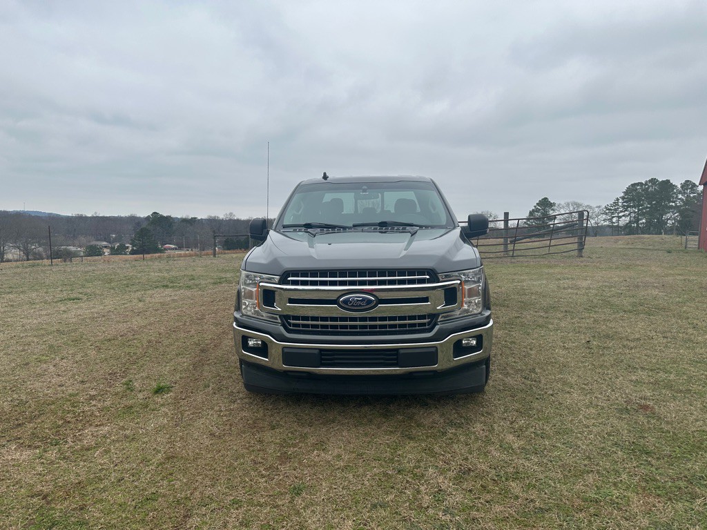 2019 Ford F-150 Image 5