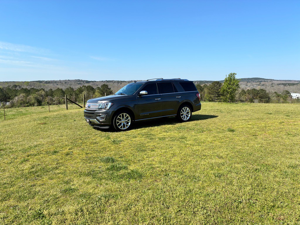 2019 Ford Expedition Image 3