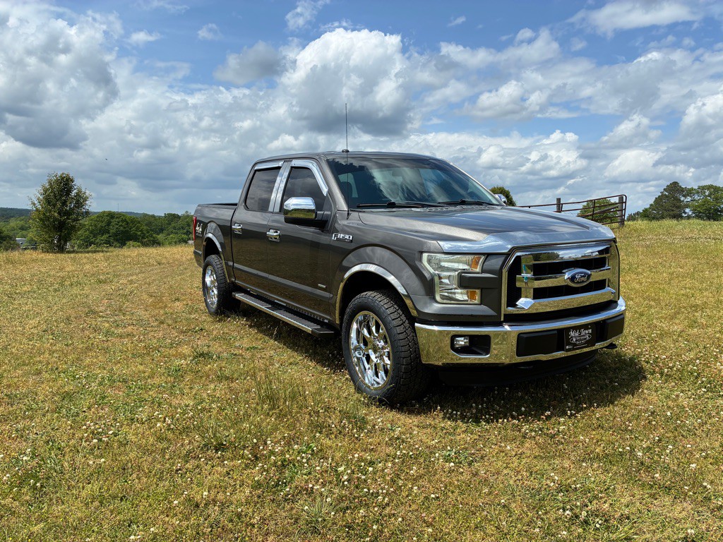 2016 Ford F-150 Image 3