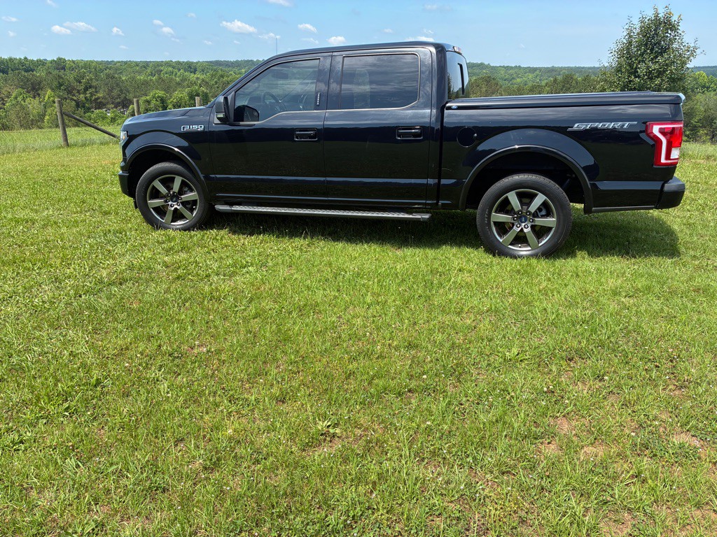 2017 Ford F-150 Image 1