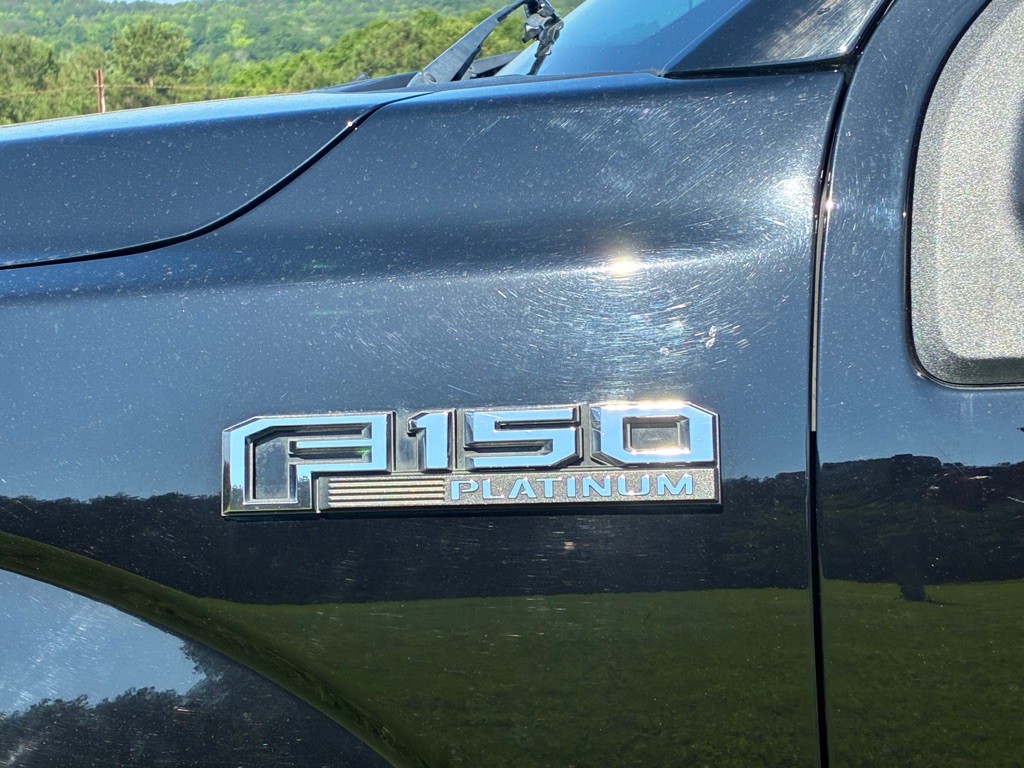 2016 Ford F-150 Image 10