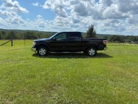 Image for 2009 Ford F-150 Supercrew ID: 7545190