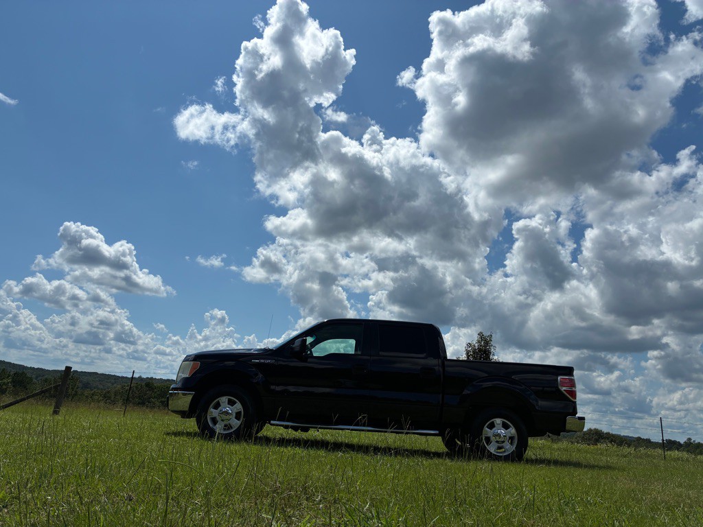2009 Ford F-150 Image 3