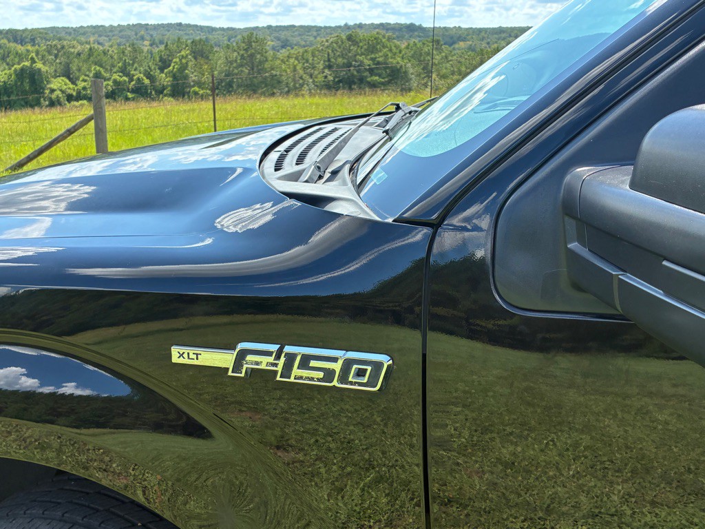 2009 Ford F-150 Image 10