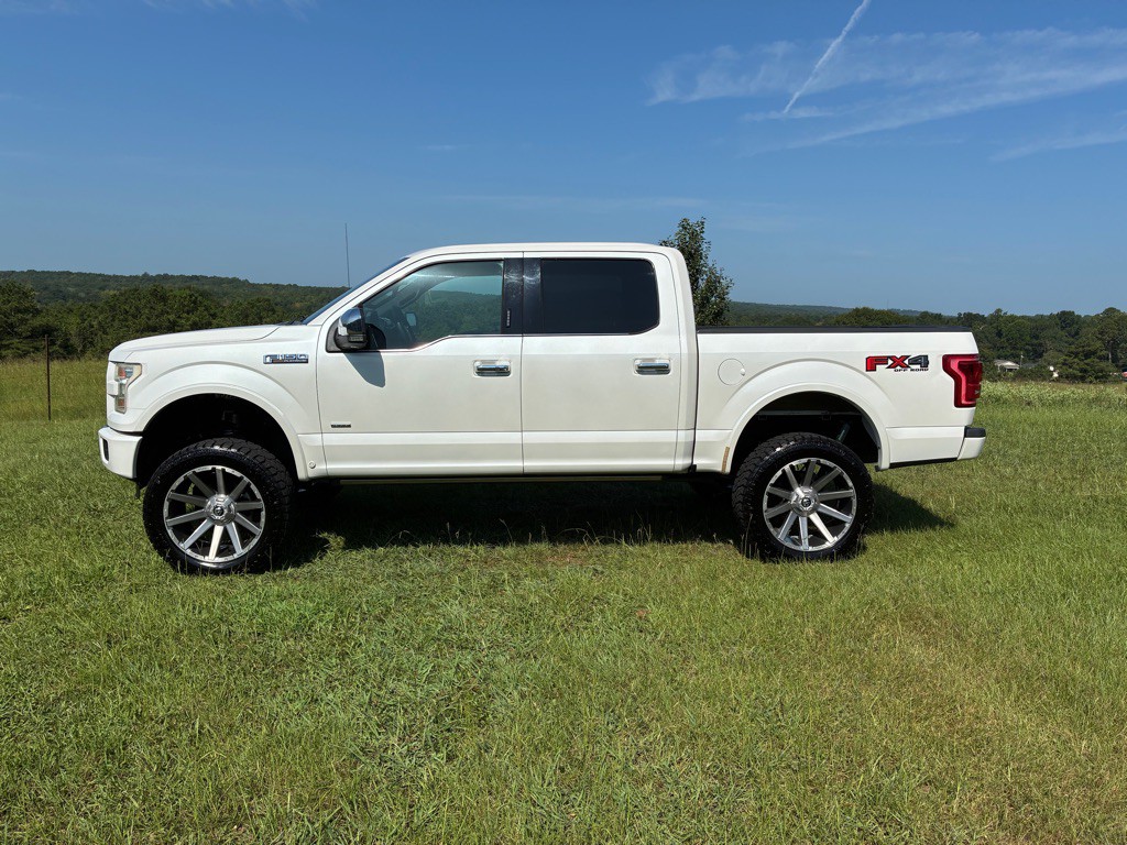 2015 Ford F-150 Image 1