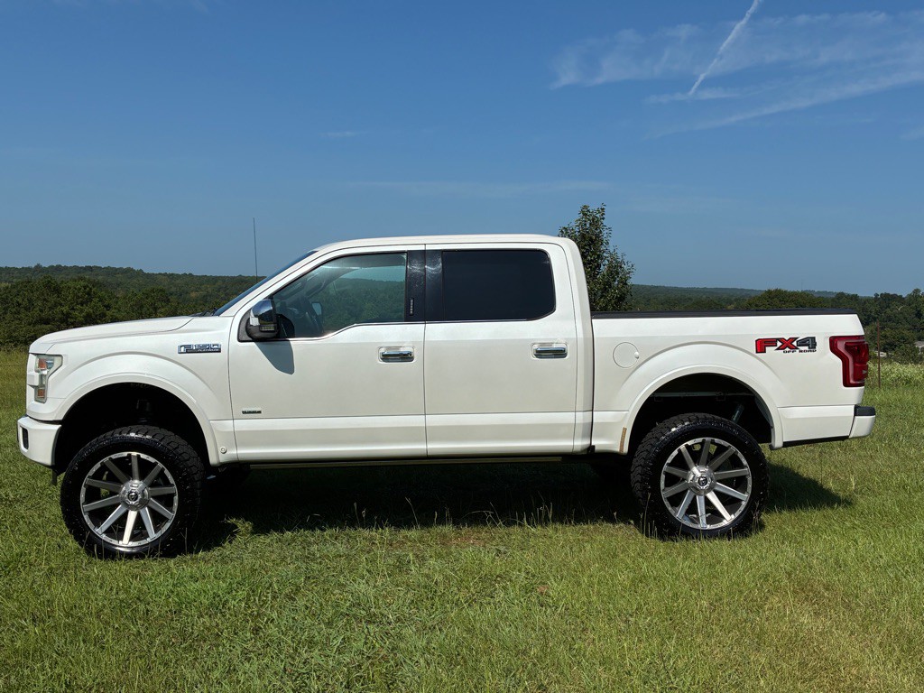 2015 Ford F-150 Image 2