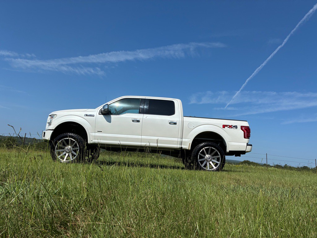 2015 Ford F-150 Image 3