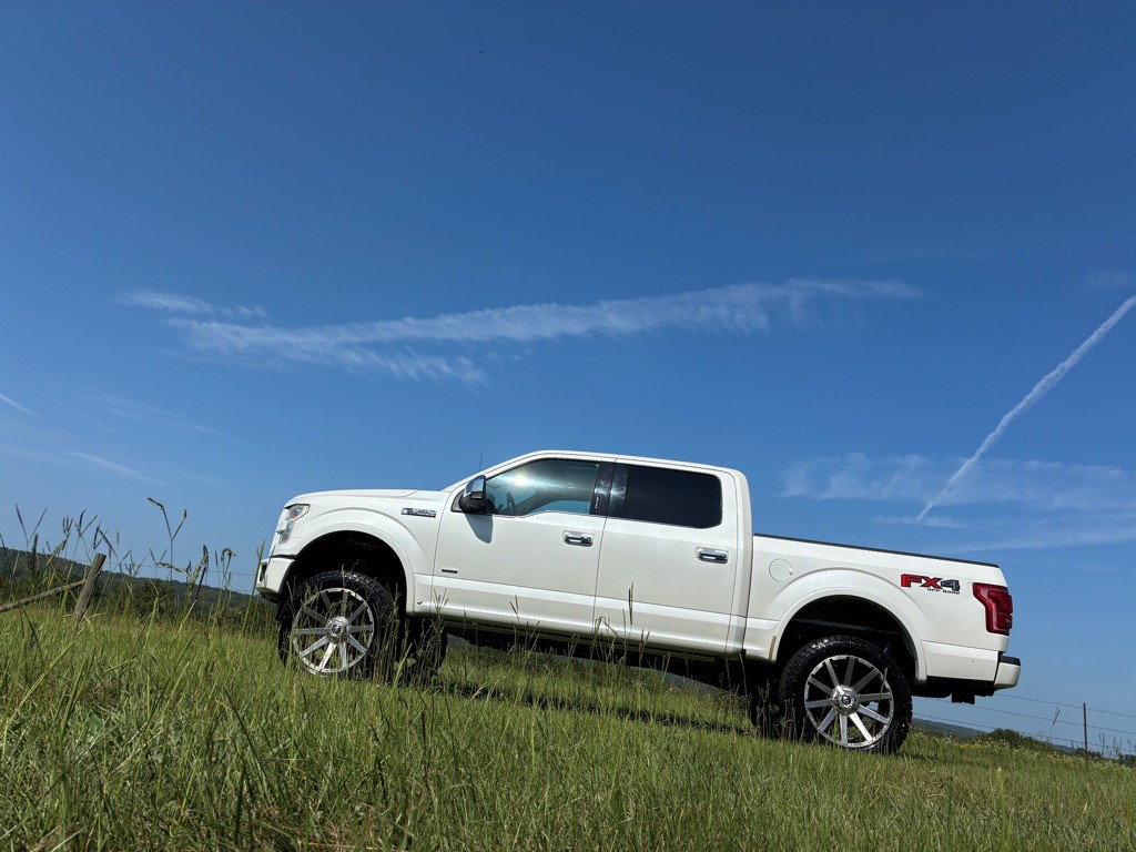 2015 Ford F-150 Image 4