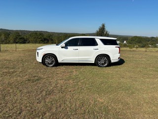 Image for 2020 Hyundai Palisade Limited ID: 7602864