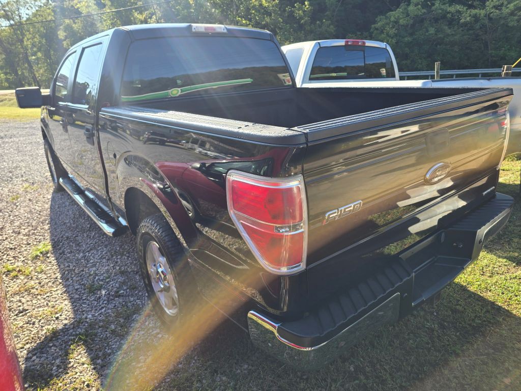 2014 Ford F-150 Image 2
