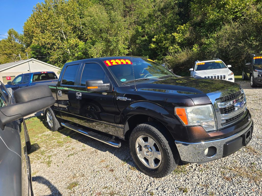 2014 Ford F-150 Image 3