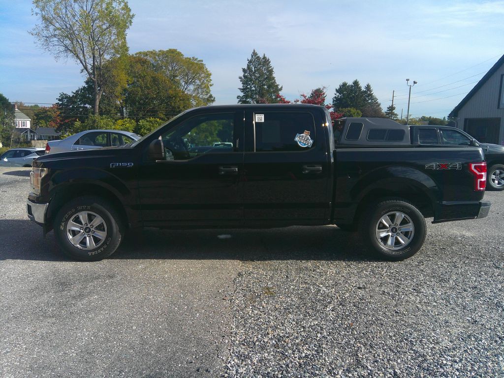2019 Ford F-150 Image 8
