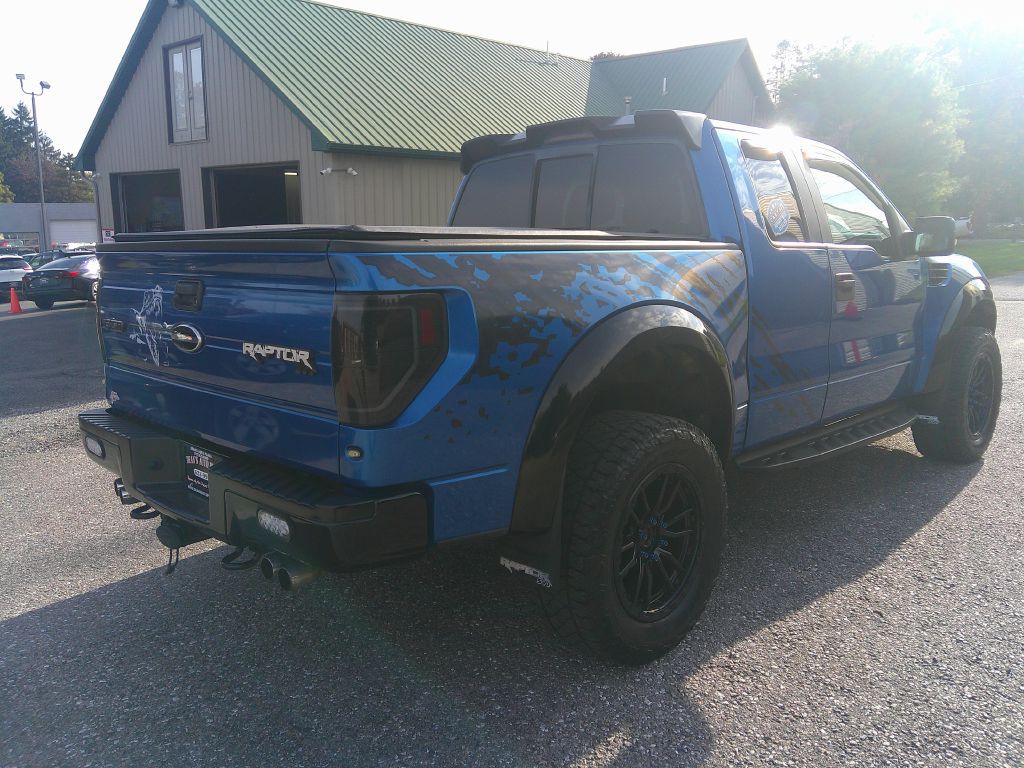2010 Ford F-150 Image 5
