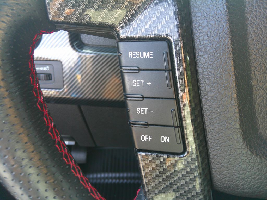 2010 Ford F-150 Image 19