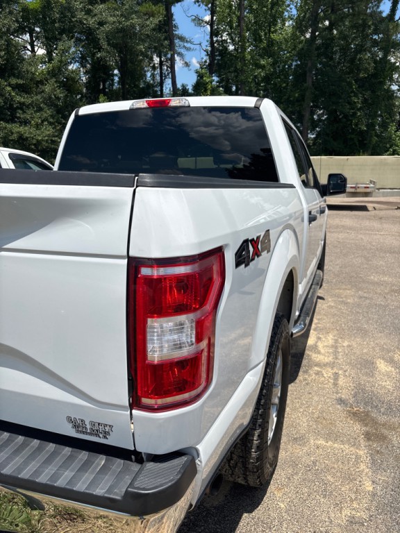 2019 Ford F-150 Image 3