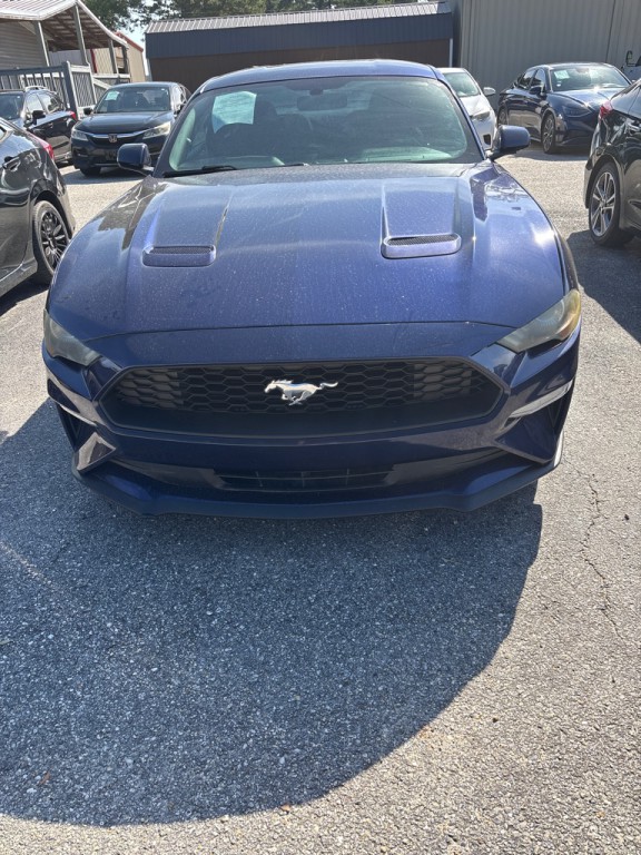 2019 Ford Mustang Image 1