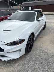 Image for 2020 Ford Mustang  ID: 7474402