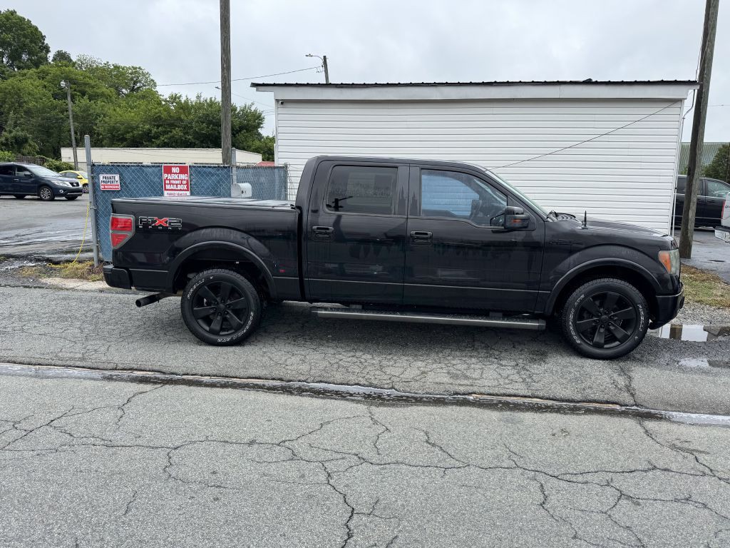 2010 Ford F-150 Image 3