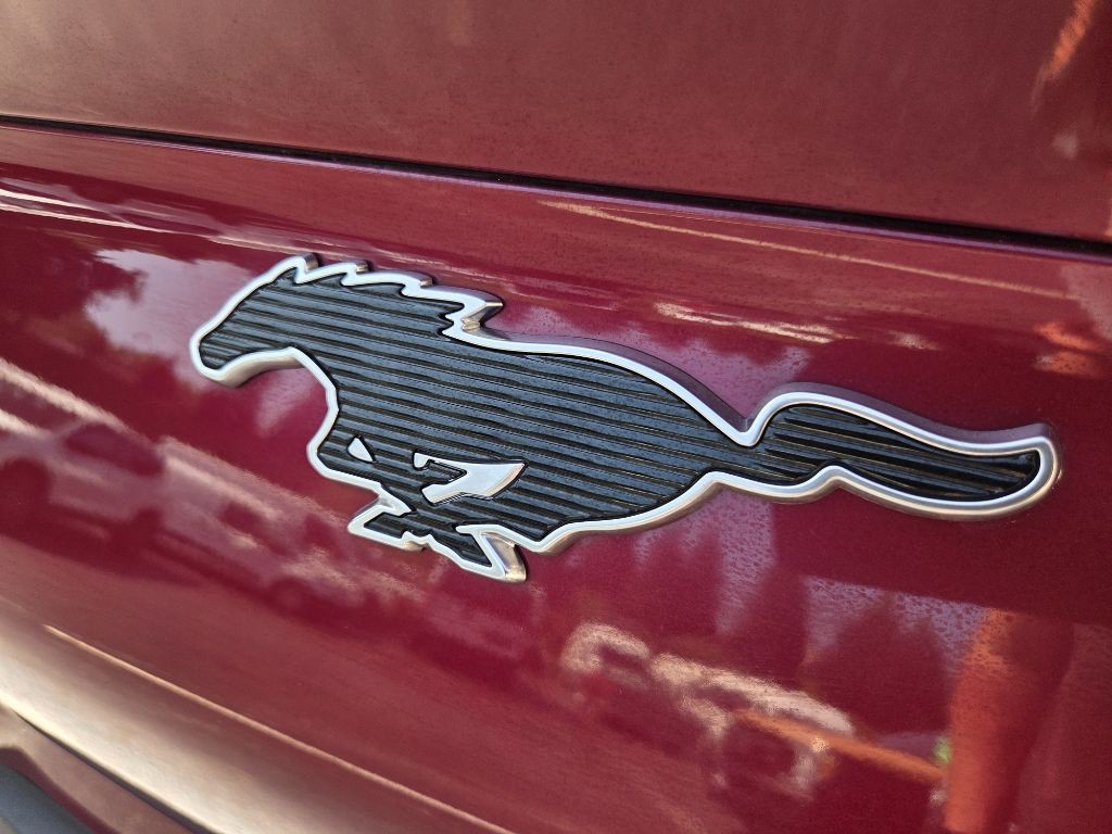 2025 Ford Mustang Image 14